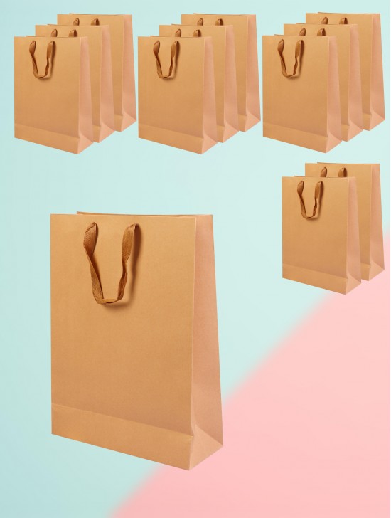 Brown kraft paper gift bags.  (12Pcs) 9.5"